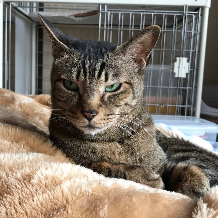 E129055c 55ed 4e22 bbfb bb34cbcbf26b