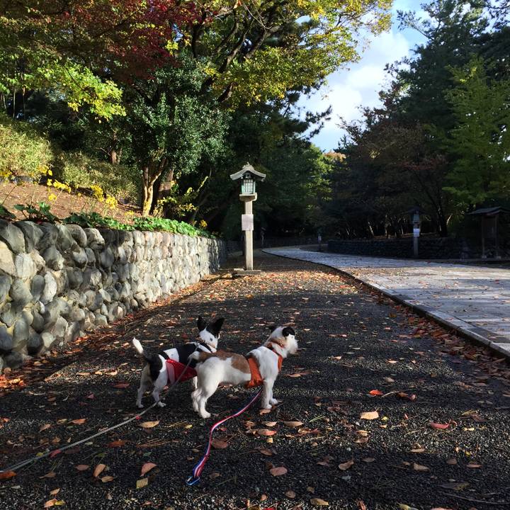 E129341d 5baf 4182 8651 5b464cd3ee68