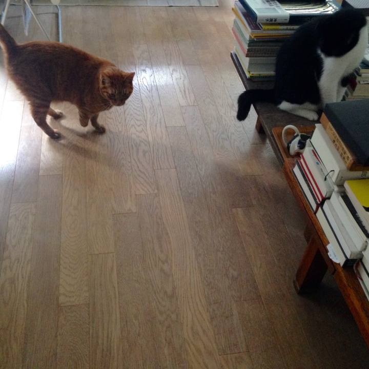 E129a4ea 513c 4d7d 9686 c194969bd665