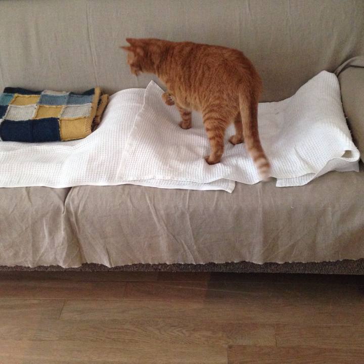 E12a2c1c bfc8 4e73 9710 718608ec82cb