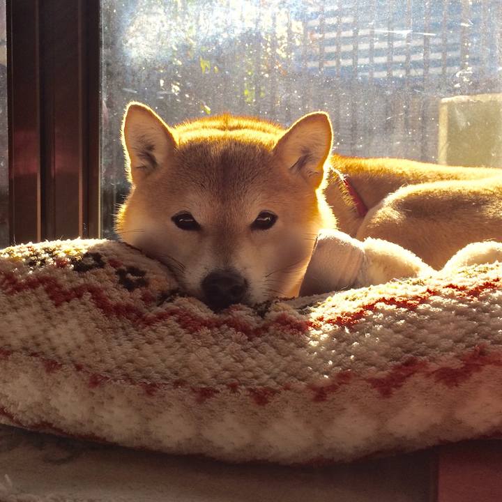 E12a4486 b134 4f8f b7de e04e68101e65