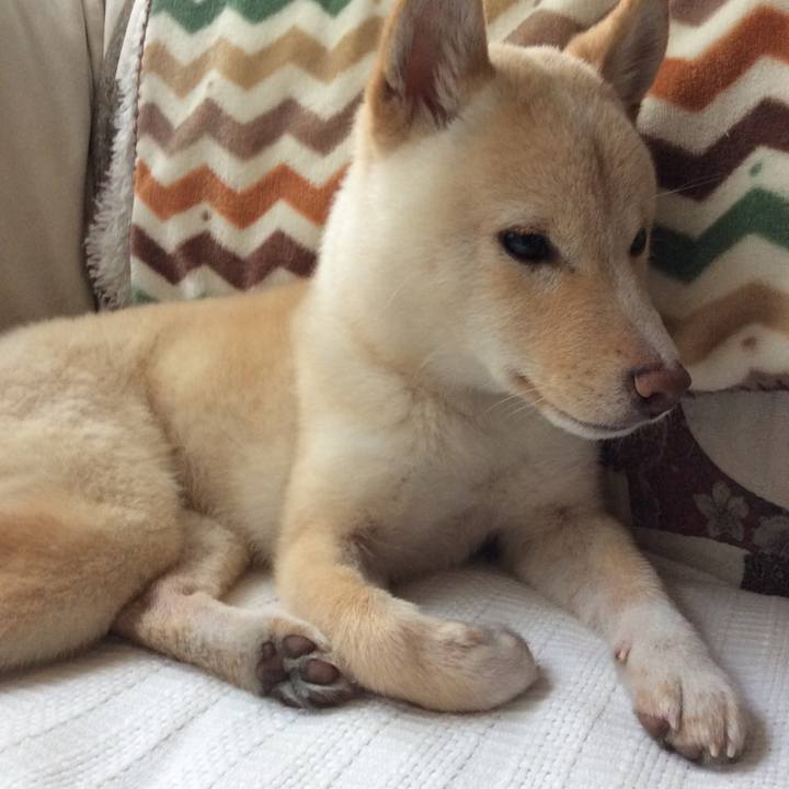 E12a9d48 d063 4130 bc0f 3a19ffdab0ae