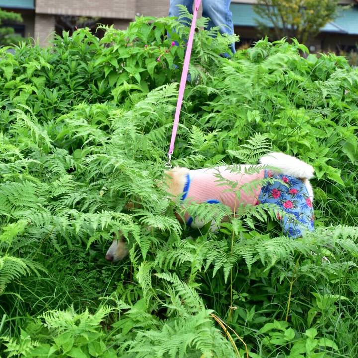 E12ab6b2 3a49 4037 be1e 2e22432b0fd1