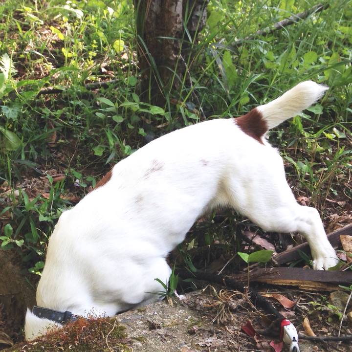 E12b1164 9b4e 4ffa 9cda ea147f108180