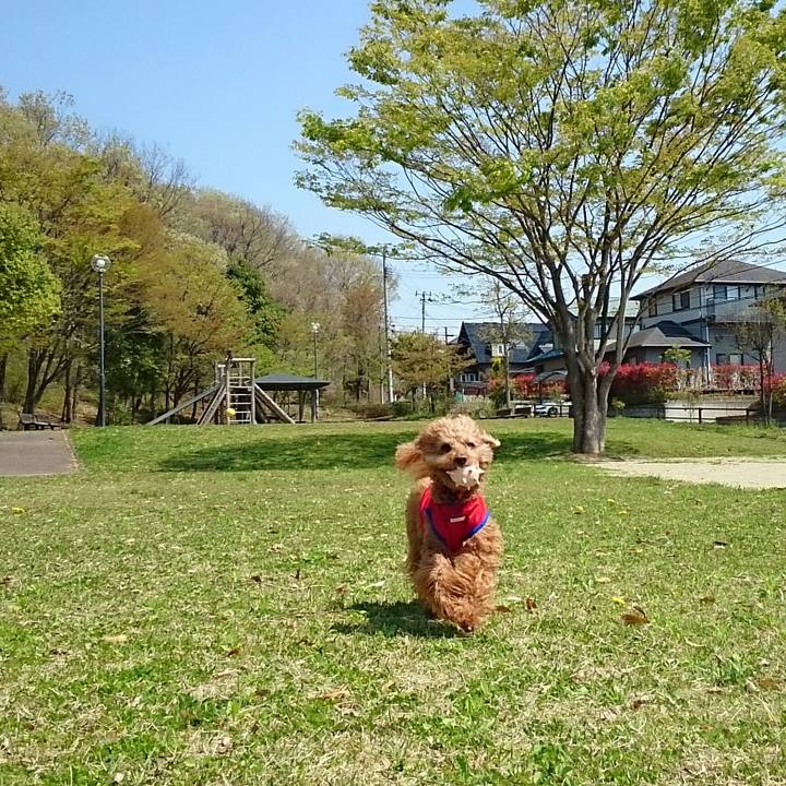 E12b3c1c 575f 4de2 bcf5 cedb164c0db6