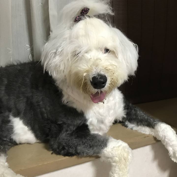 E12b45af 9403 4c68 aa53 ae5977cd66ce