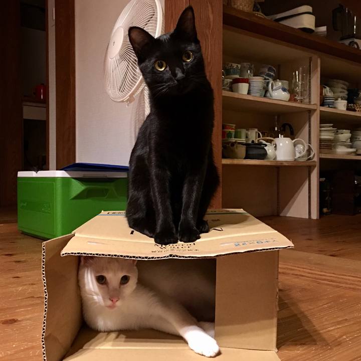 E12bb396 360e 4c3c 9825 e3502b4e20e9