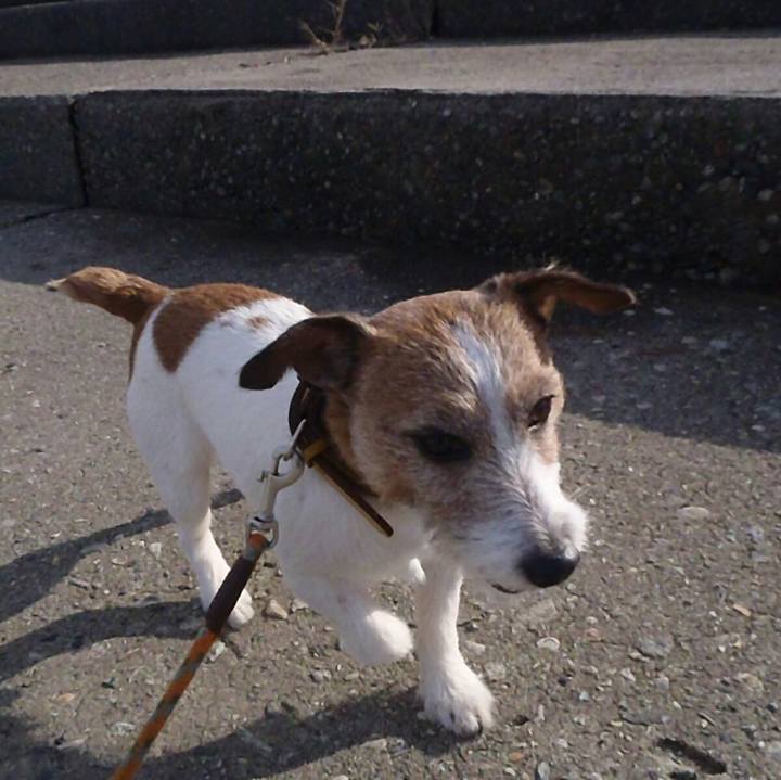 E12c6248 2d83 40a9 aa2e 7d913a9ebe03