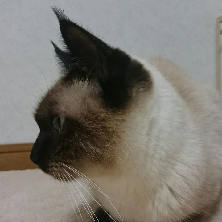 E12e13cc 454e 49c3 9753 ab4985388828