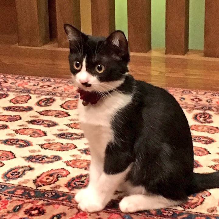 E12e94a7 fe37 45e4 b0e6 0e06dae58a4c