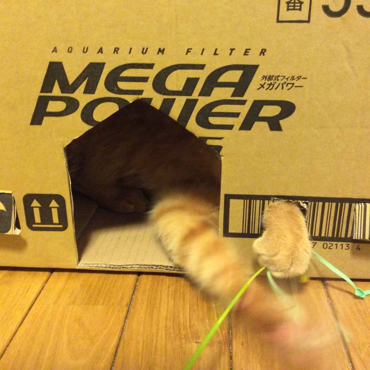 E12e9939 3915 4762 bd10 c2dcadfa5c86