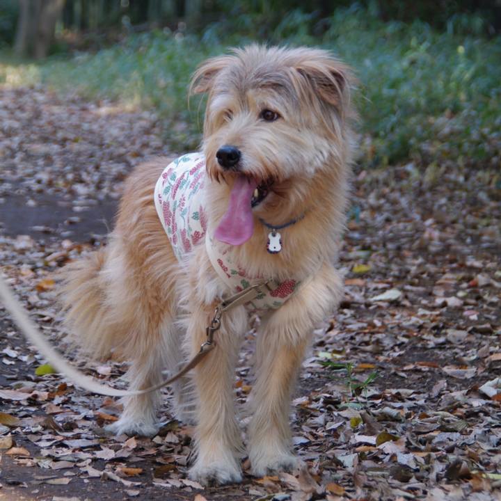 E12ea05d a1a1 4b58 8340 d4796d67e42b