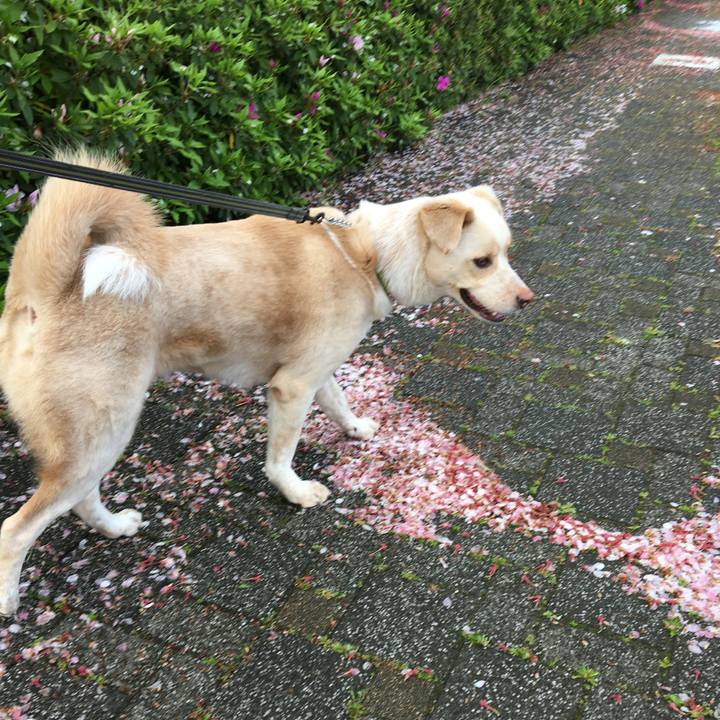 E12eeb4d a779 41fd 8c67 f366b0c2034d