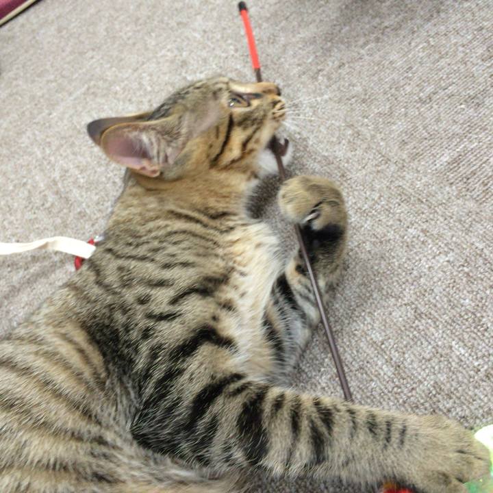 E12eff12 a0a4 4060 9394 651629e1b122