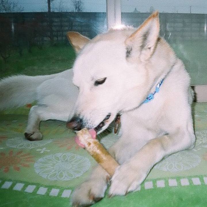 E12fd8d2 4ccb 42d5 aac8 bc92c31271cb