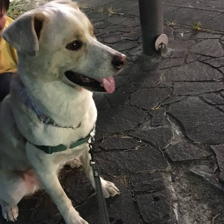 E130534e 2414 4962 95ca 88ced311e8b9