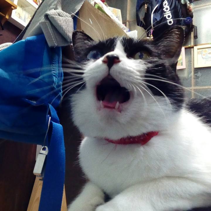 E1305d9f f617 4ac7 ba14 1948725d6726