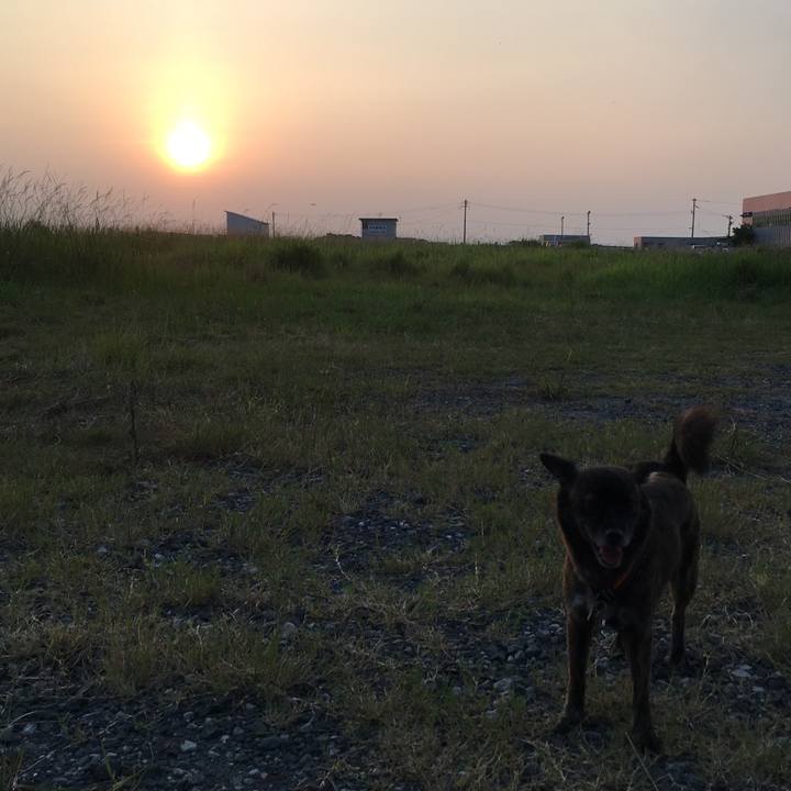 E1306271 aca7 48c4 806e 457fa15dd1a7