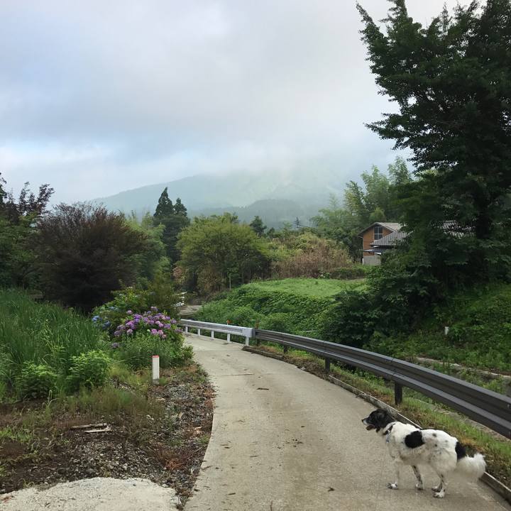 E130acd6 bc23 4b01 84f1 fdb41aff9249