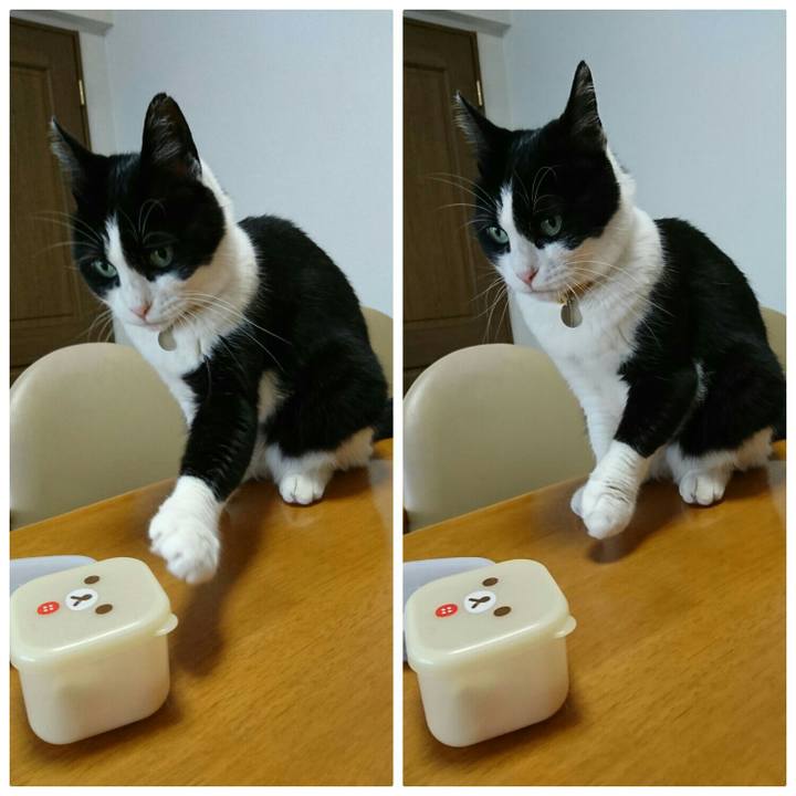 E130b06a b73d 473e b789 2a6afaec1bc9