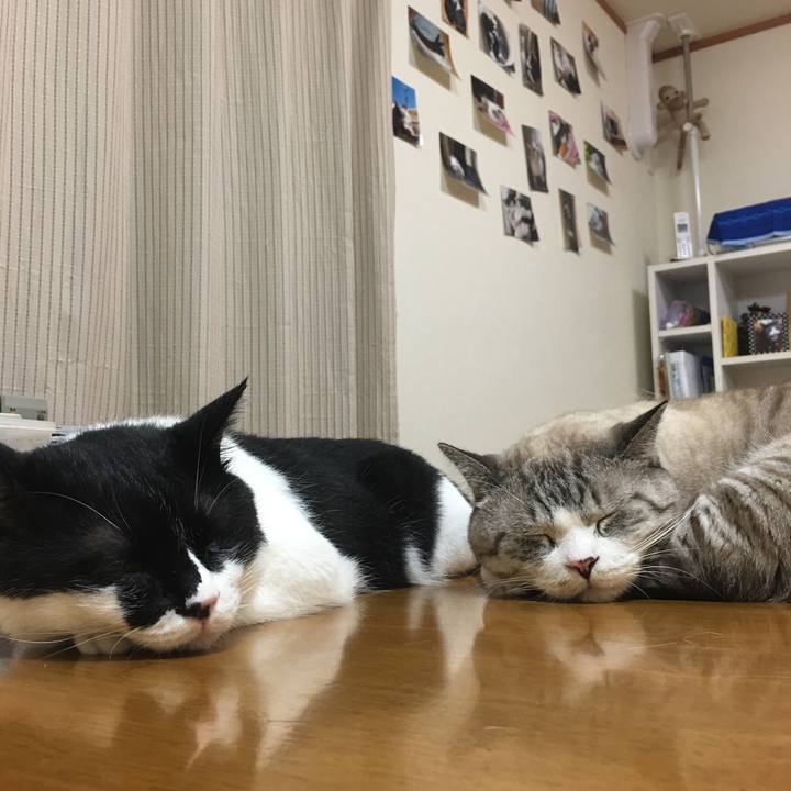 E1314e05 9030 4cf2 8410 fd8c73eab462