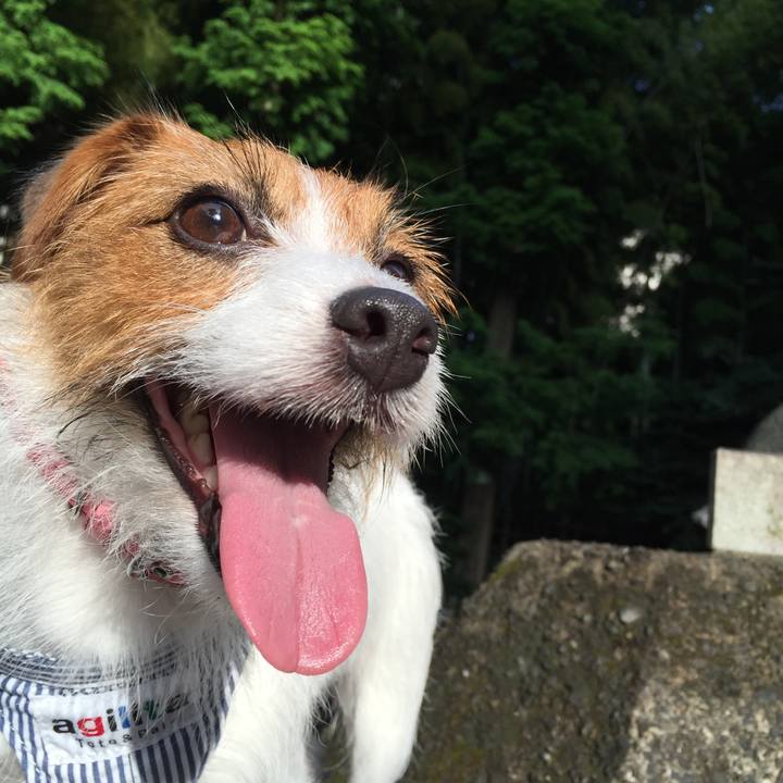 E1317fc9 e2eb 4a4e 9f5a 848d3f149248