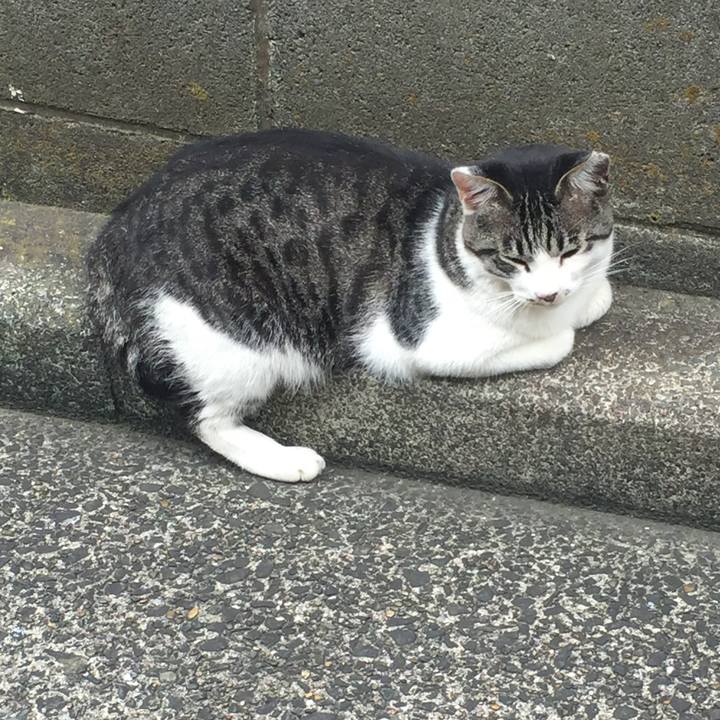 E1332ad3 b9ca 4e63 8b81 adb2f0a83a73