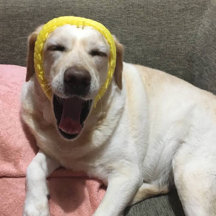 E13333ca 0091 40b6 b9b0 e122dbf0a55a