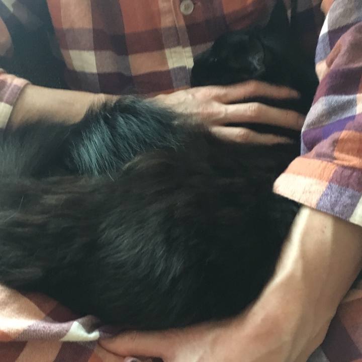 E1346e84 03d0 4302 b05d 063caf420a9a