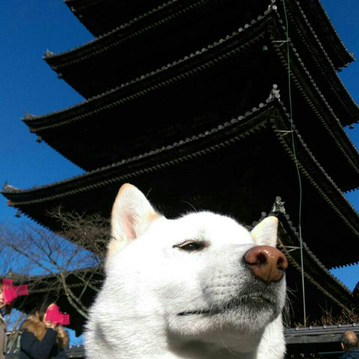 E134860f 51d1 465a b44b c1d697f5247c