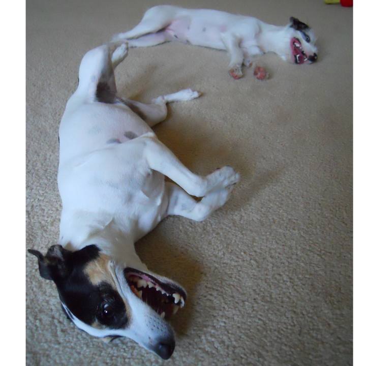 E134acf6 b68d 4641 8231 68c1a5a14bd8