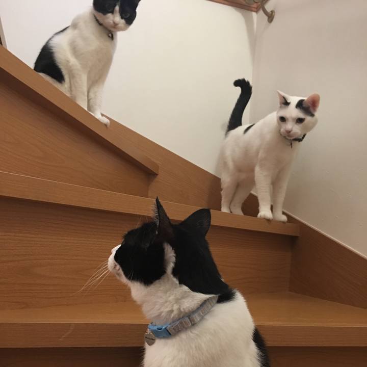 E134da7f 791d 445d 8c33 1db8c21c18fa