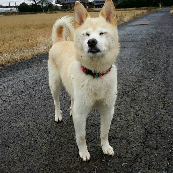 E1352074 441a 4ad0 be0f cfea5f2ca3cd