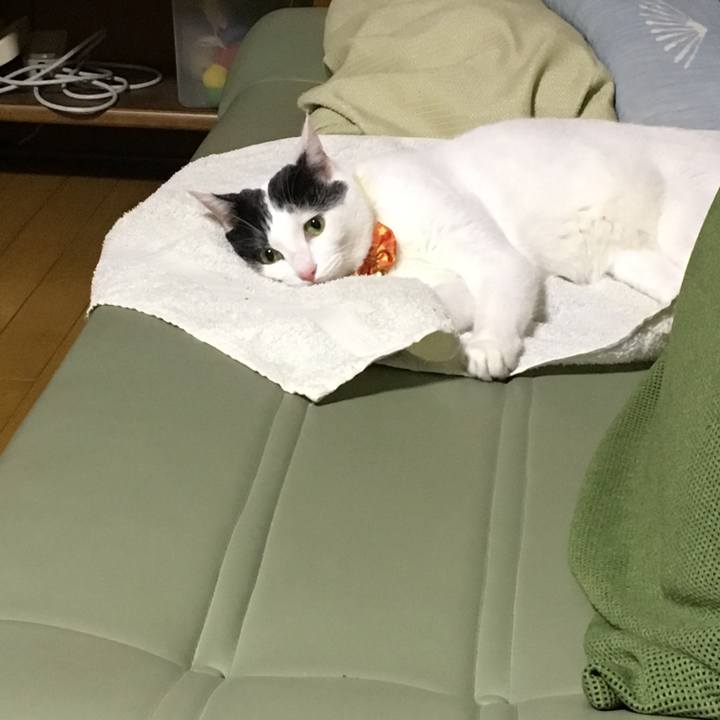 E13597b9 ca14 4f57 9eb2 1178f15c48fe