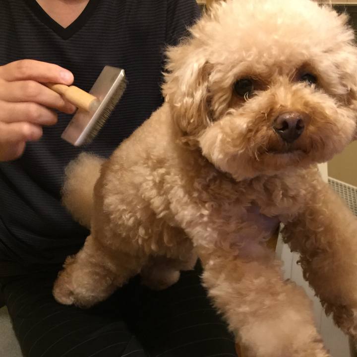 E135fec8 4843 45da bfb1 b1c6f28b5afc