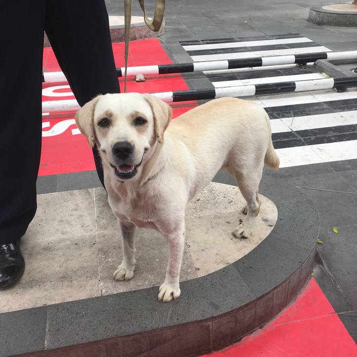 E13602d1 ef15 4627 9d80 b437f12ad539