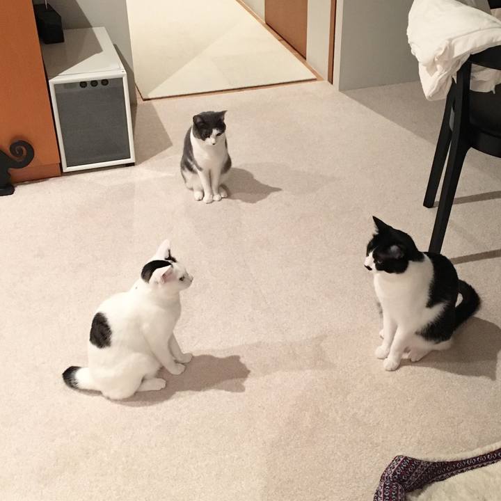 E136695b fef5 4ce2 a63c 9ec866aa0dc6