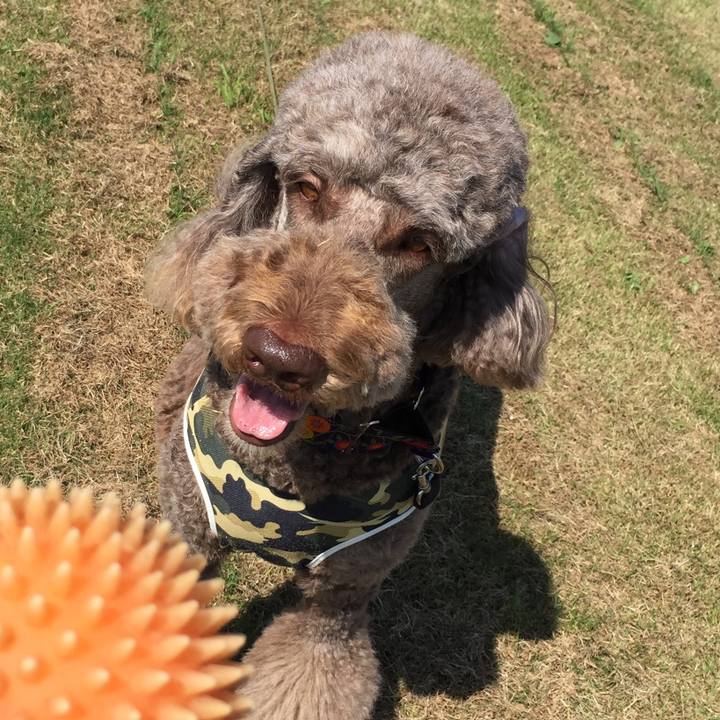 E136cd0d 28db 4b9b ae95 e9bd979baa9f