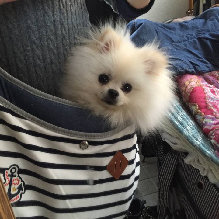 E137383e 0dca 44e9 a343 701961b1783b