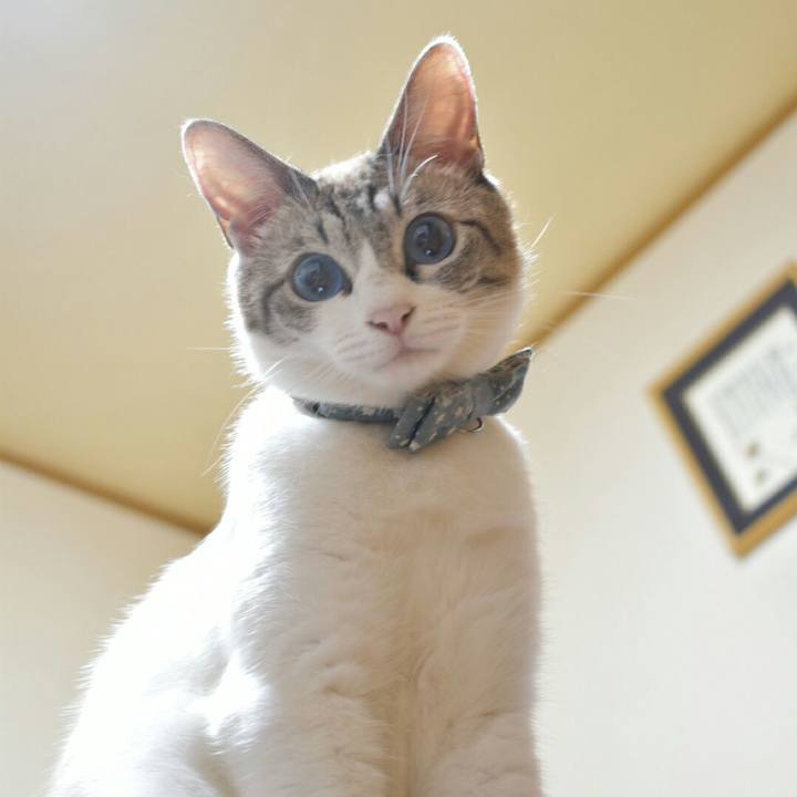 E13756e7 14bf 495e 9de9 05cbc3cce055