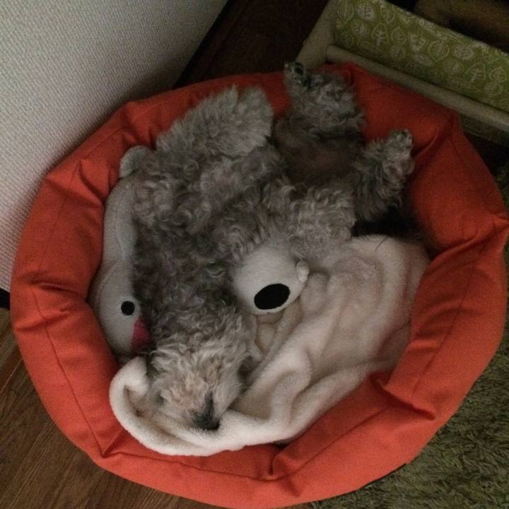 E137f5b8 a378 43ea 9b55 f2818446e7b2