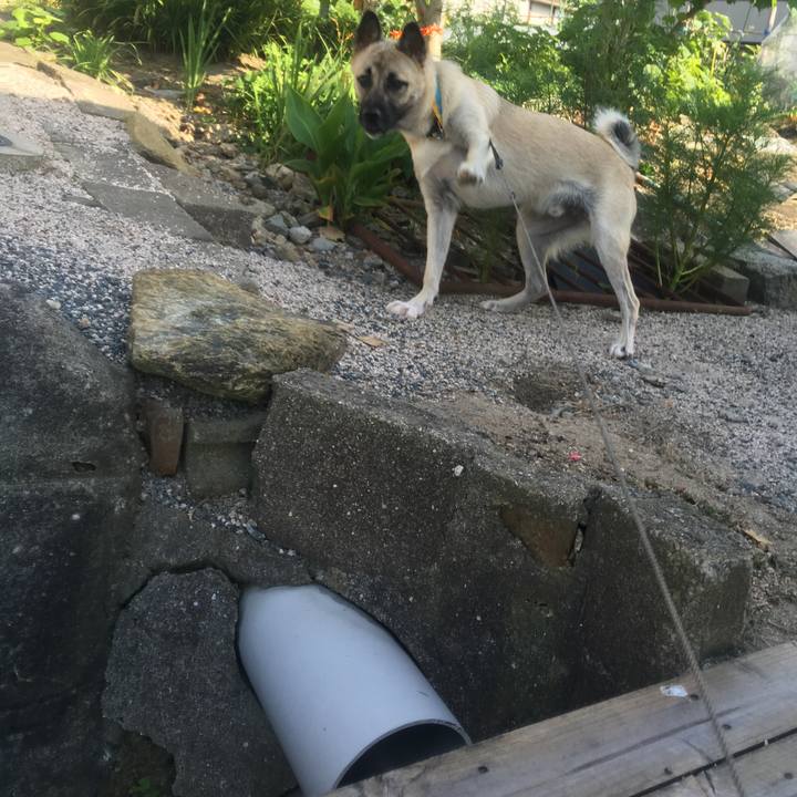 E13811b2 1f99 4af2 a6bc 89cc96e41f3e