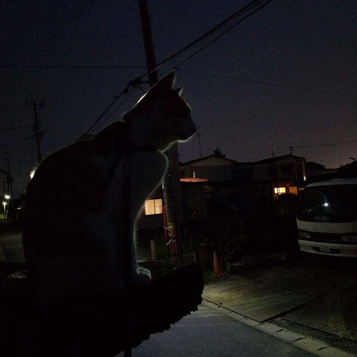 E139004c ef39 4c44 a087 1706d42e9721