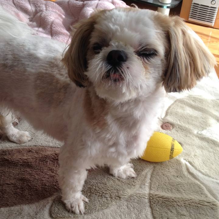 E139344b 83f4 4035 969c 589a5801c7d3