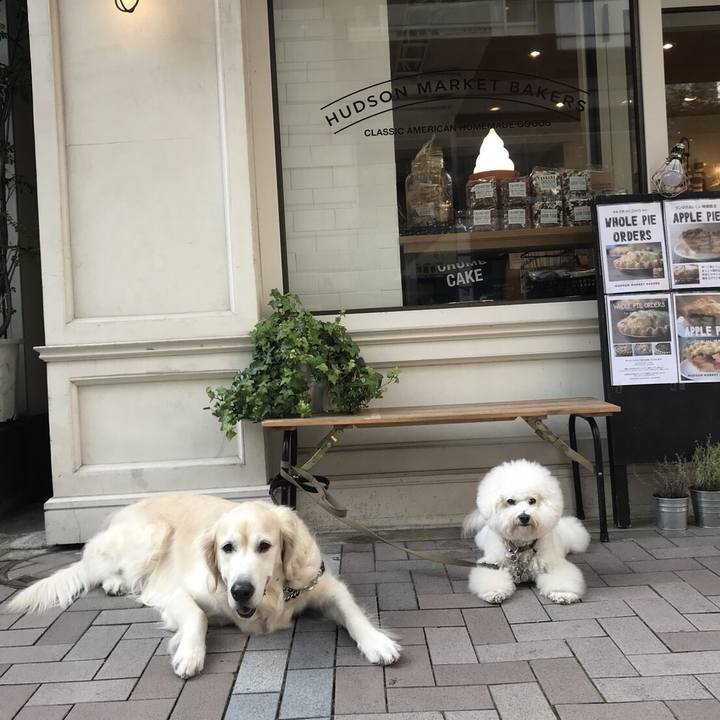 E13938a2 a611 4496 94f5 62b17ebf5d10