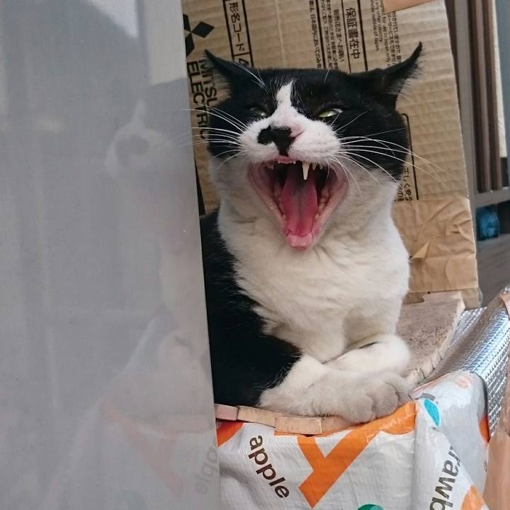 E1393fc4 097c 4c49 b6f9 20b4b868ce3b