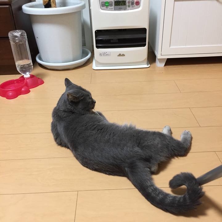 E1395ec5 c624 47ba a820 b6af7560aab1