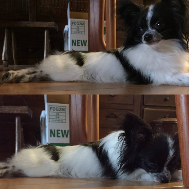 E139e425 9893 4e3d 9786 1bc7ca7ed4c9