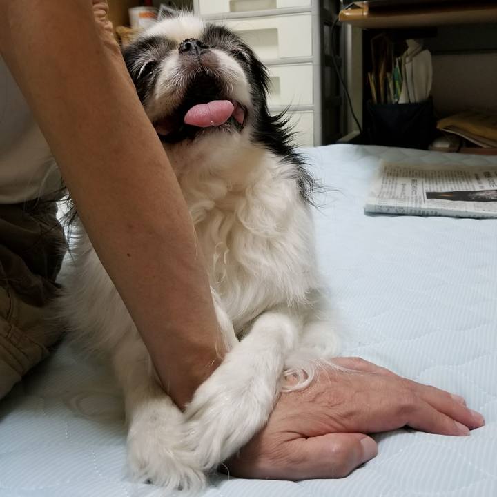 E13ae944 1d1d 4b4c b92f a69f77a5068f