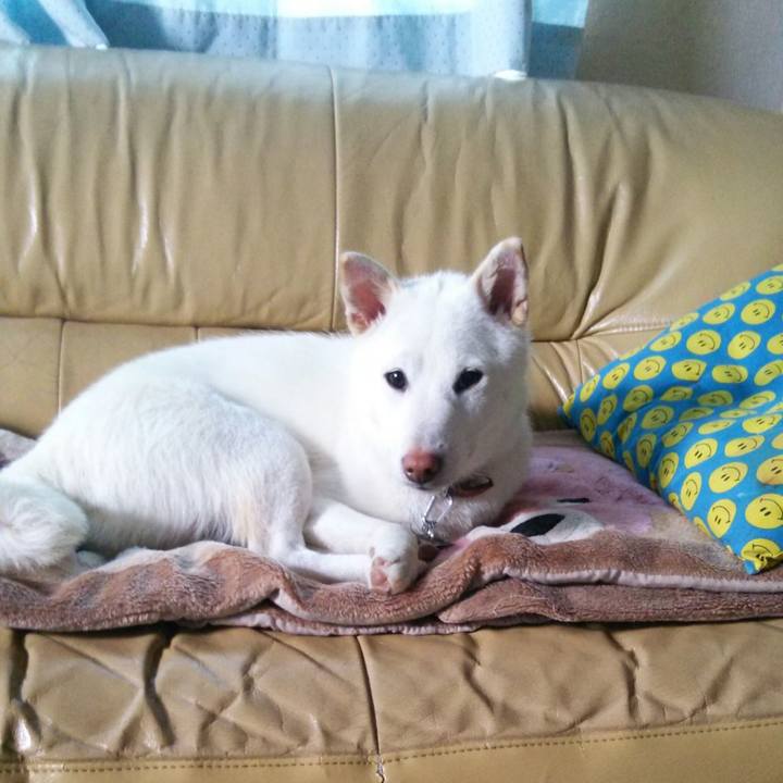 E13b1d21 085b 4a4a 9123 712a6253ddb3